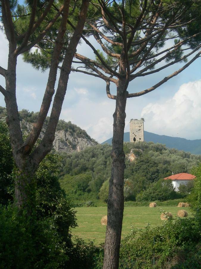 B&B La Rondine Tra Pisa E Lucca San Giuliano Terme Exterior foto